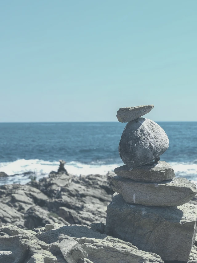 Rebalance your mutual fund portfolio