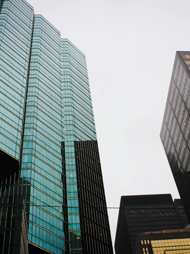 What is sectoral fund